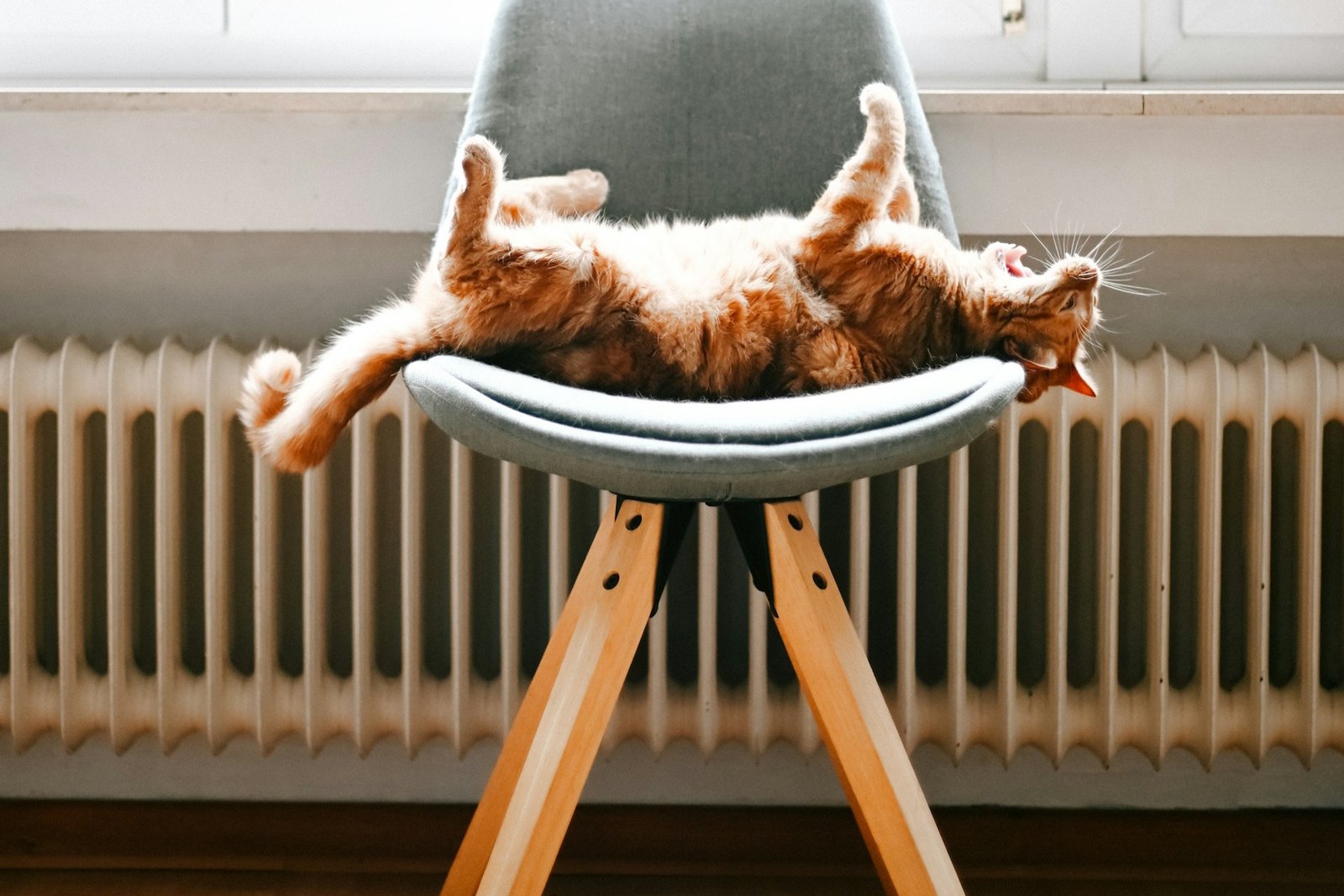 Heizkörper unter einem Fenster während er warm wird